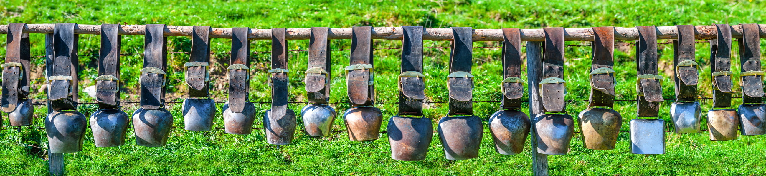 Verschiedene Kuhglocken hängen an einem Zaun